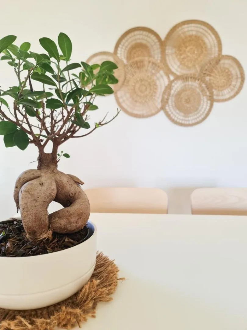 Piso en  Calle de Inglaterra 24 - Foto 19