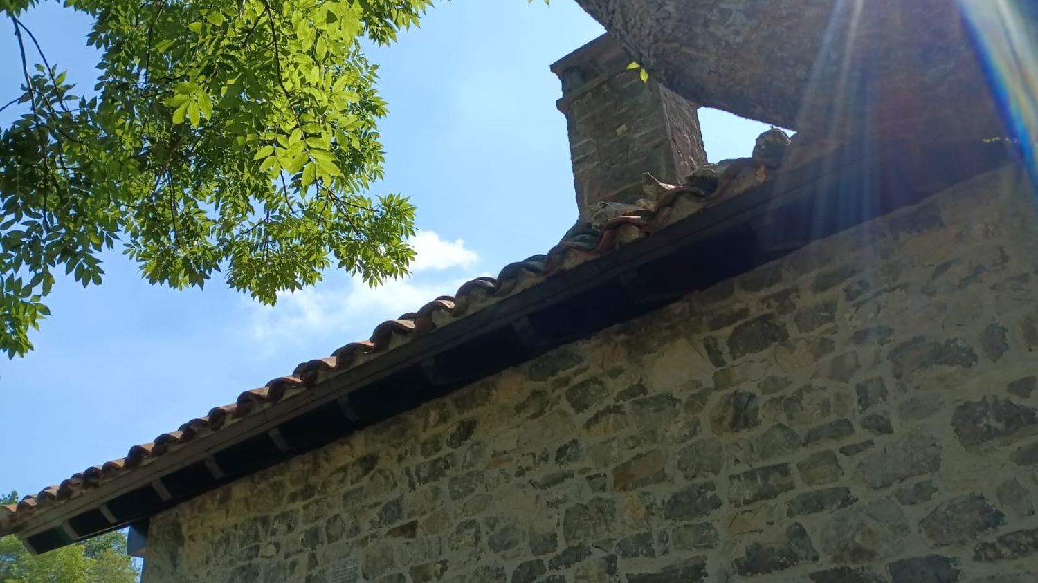 Finca rústica en Los Payares s/n - Foto 8