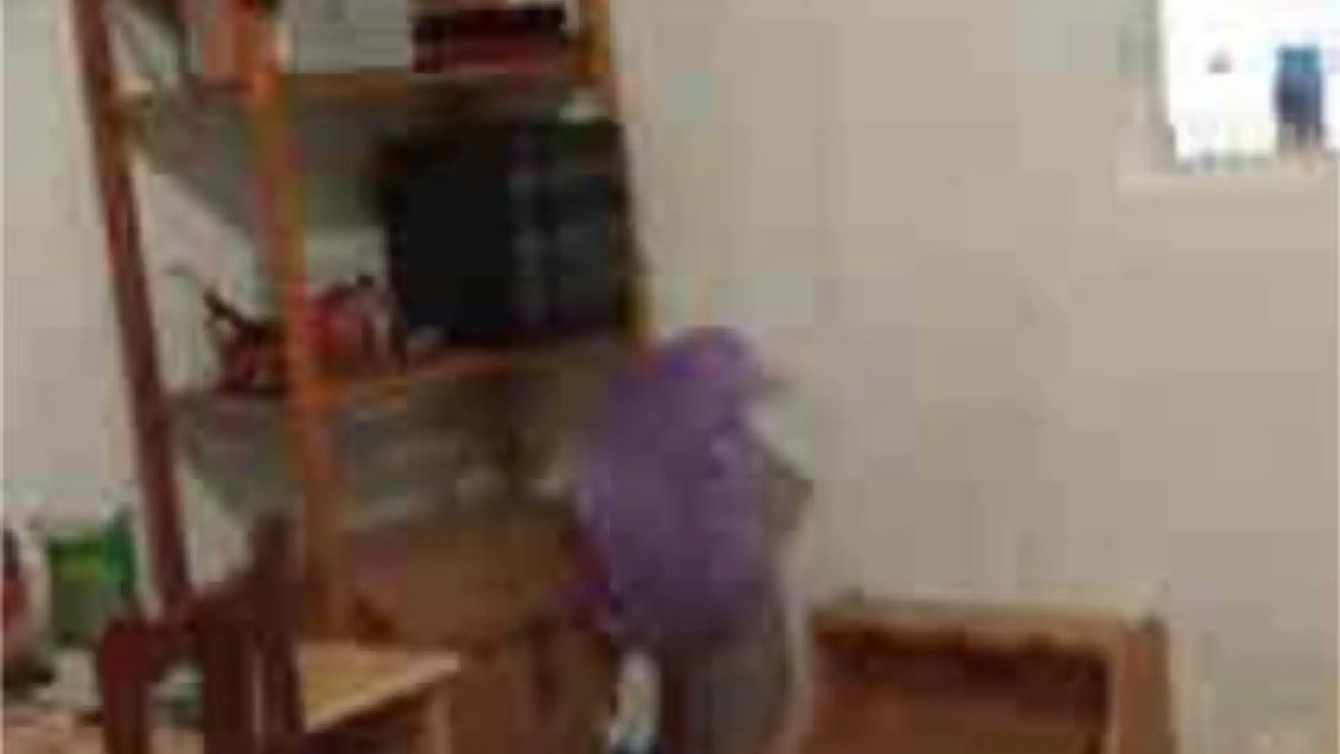 Chalet en Zona Sur - Foto 6