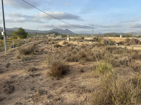 Finca rústica en Diseminado Paraje Salado Bajo, 14 - Foto 30