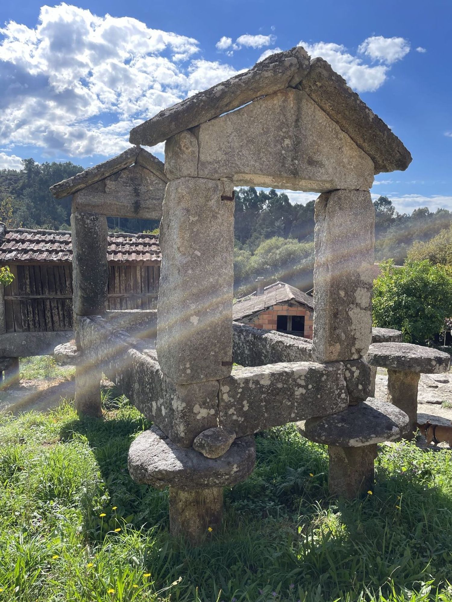 Finca rústica en Poulo s/n - Foto 3