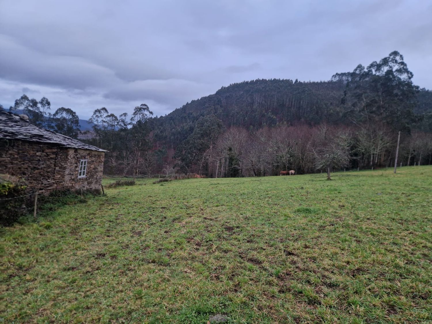 Casa rural en Pueblo s/n - Foto 6