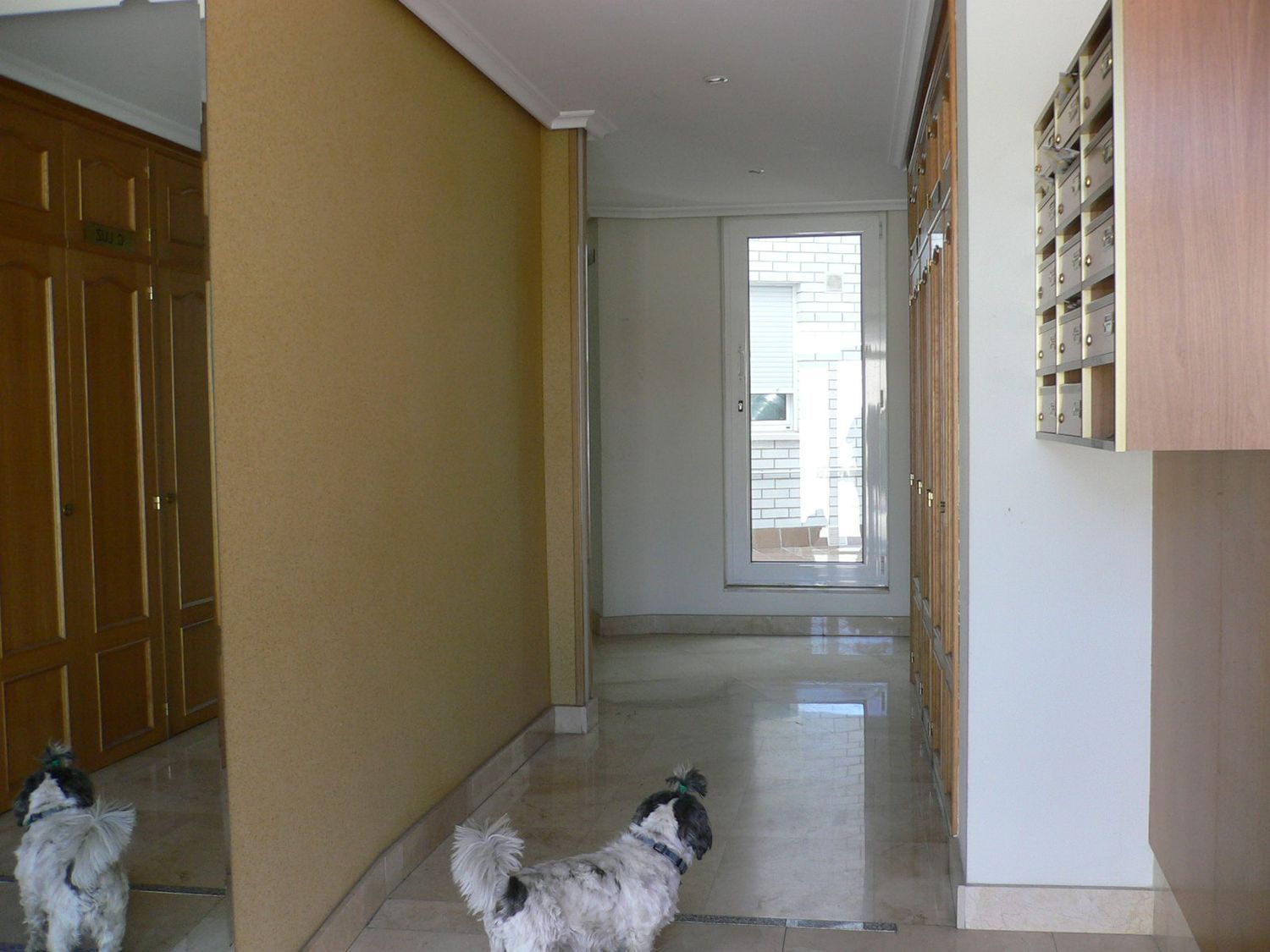 Dúplex en Calle Teniente Velasco, 5 -7 - Foto 30