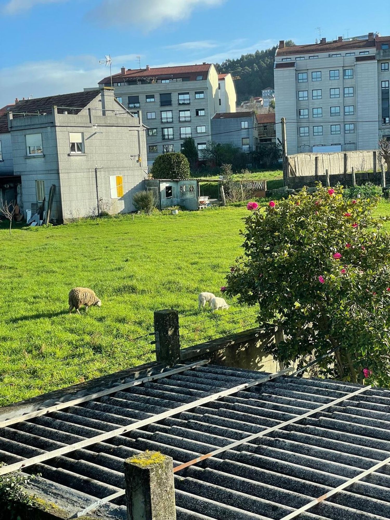 Piso en Camino Telleira, 32, Castrelos - Sárdoma, Castrelos - Sárdoma - Foto 4