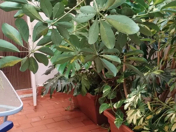 Estudio en Calle Duque de Rivas, 4 - Foto 21