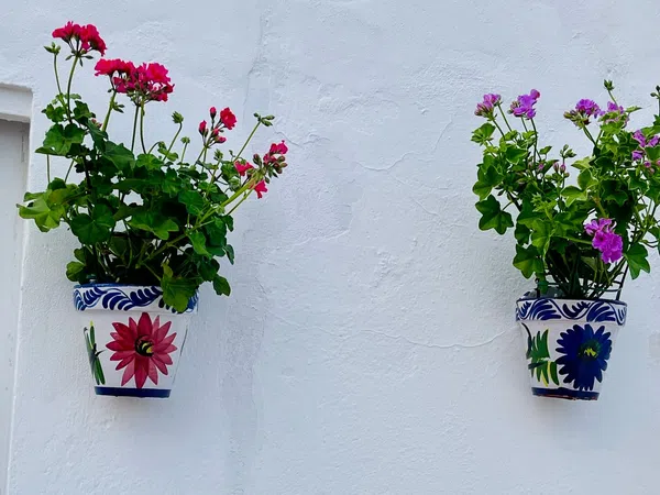 Ático en calle Almirante Ulloa, 2 - Foto 14