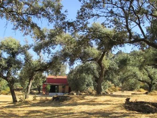 Finca rústica en Carretera Albalá del Caudillo s/n - Foto 18