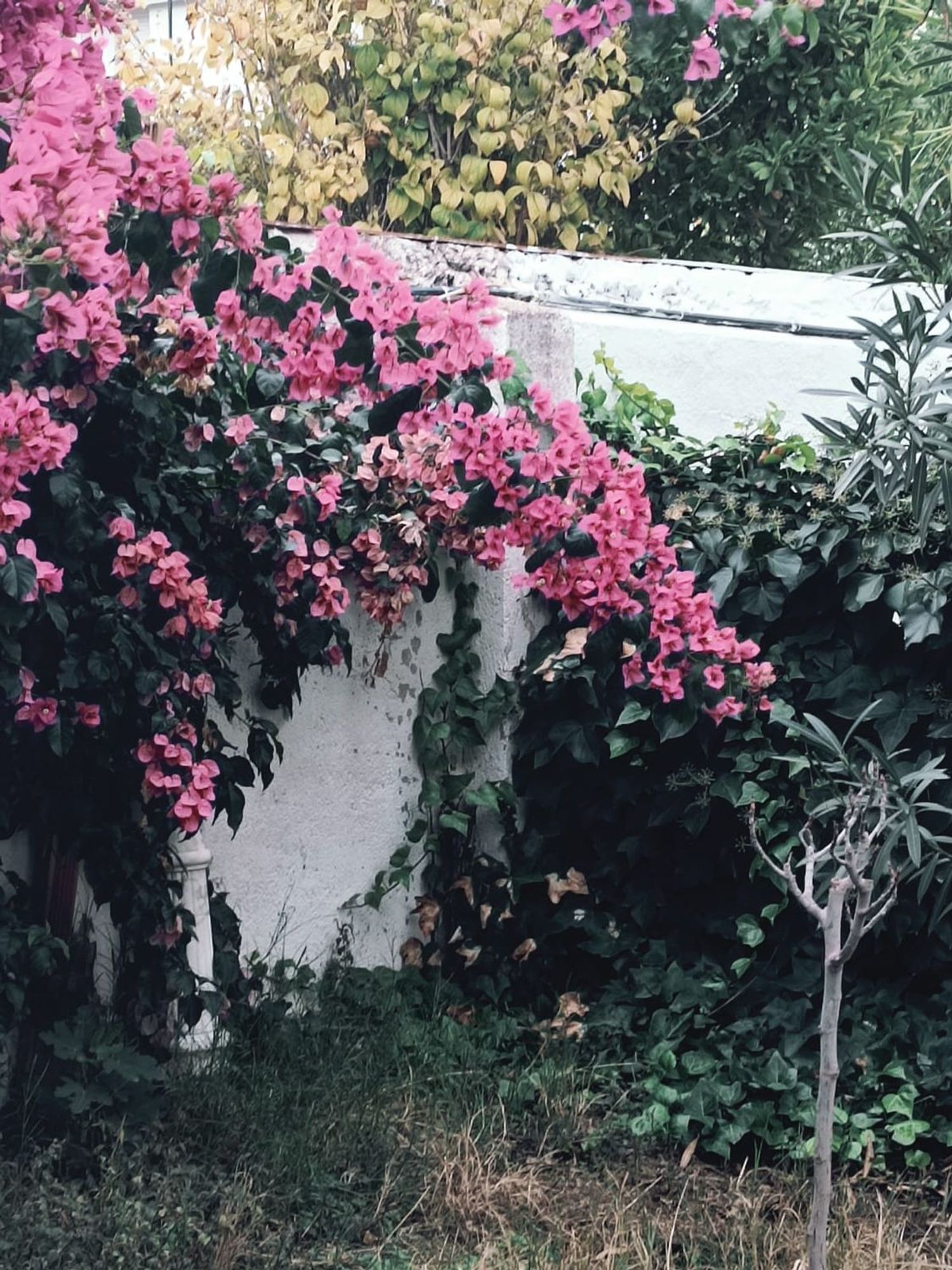 Chalet adosado en calle Antonio Machado, 35 - Foto 30