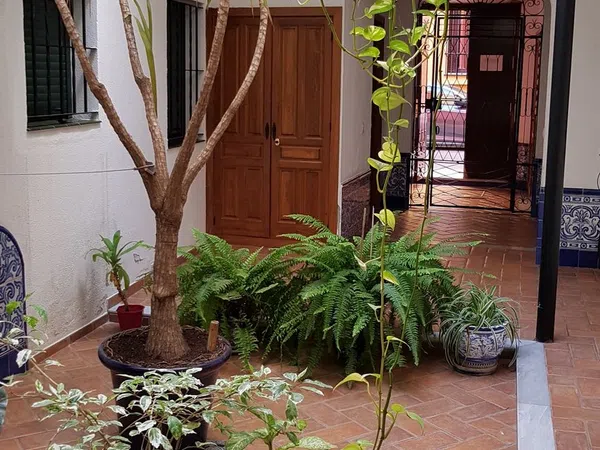 Piso en Calle Pureza, 92 - Foto 4