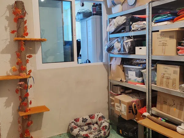 Piso en Calle Pascual Sempere Mogica, 1, Los Magros-Casablanca - Foto 22