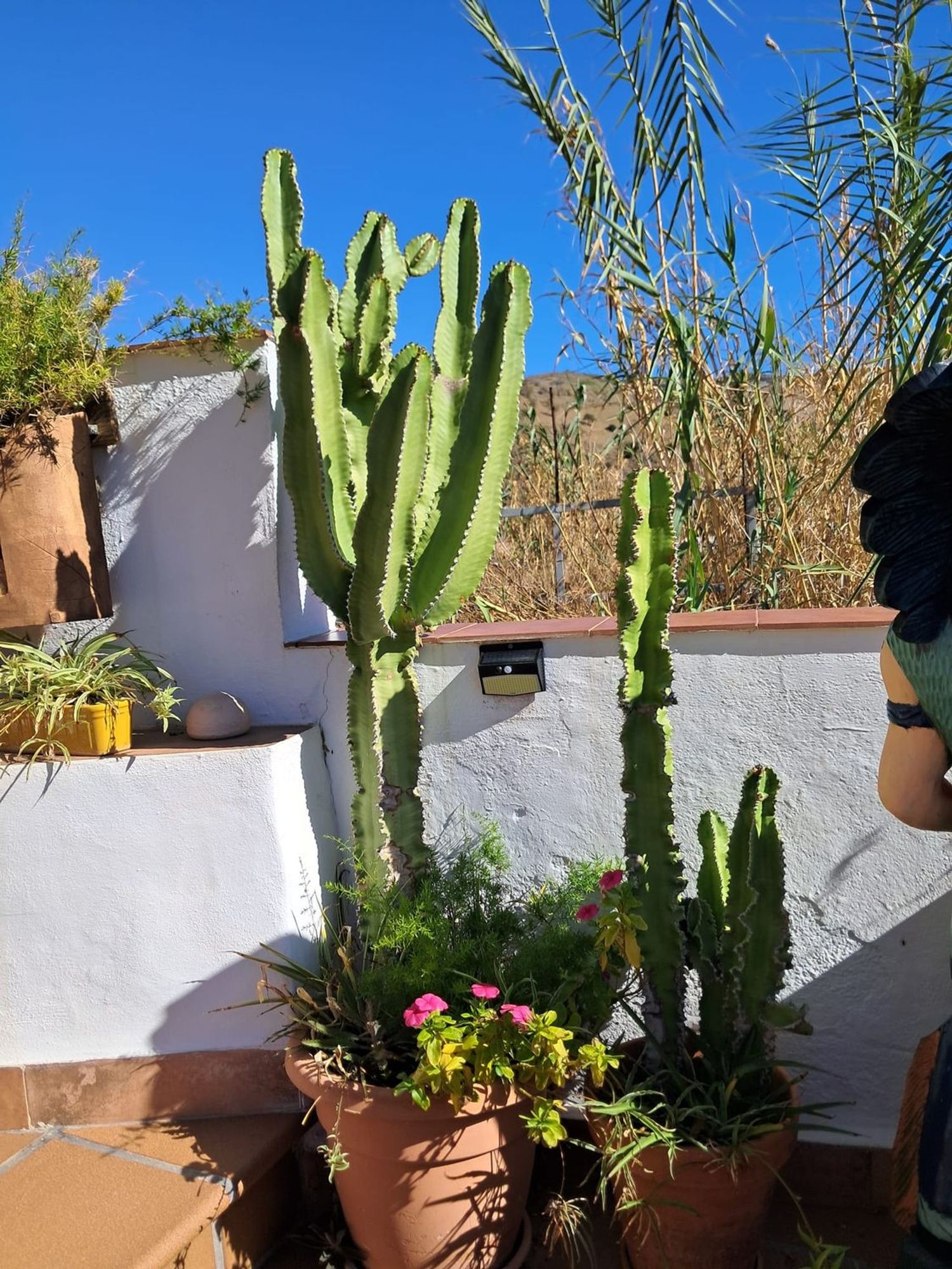 Cortijo en Cortijo en Haza Mora s/n - Foto 23