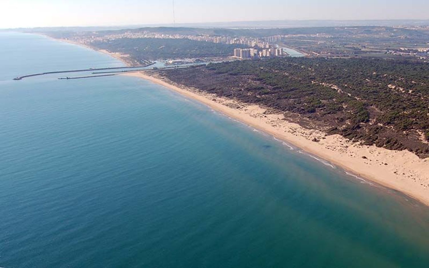 Piso en Avenida de la Llibertat, 18, Guardamar Playa, Guardamar Playa - Foto 9