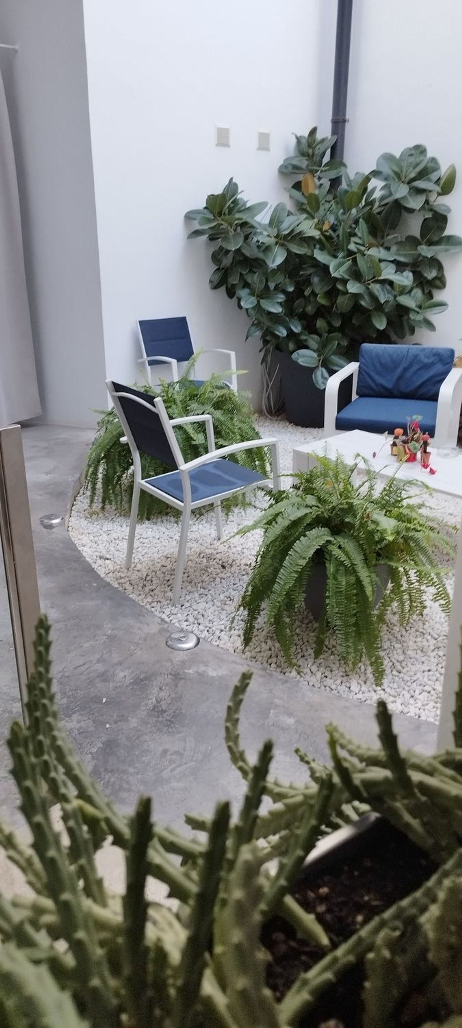 Estudio en plaza de la Corredera, 6 - Foto 16