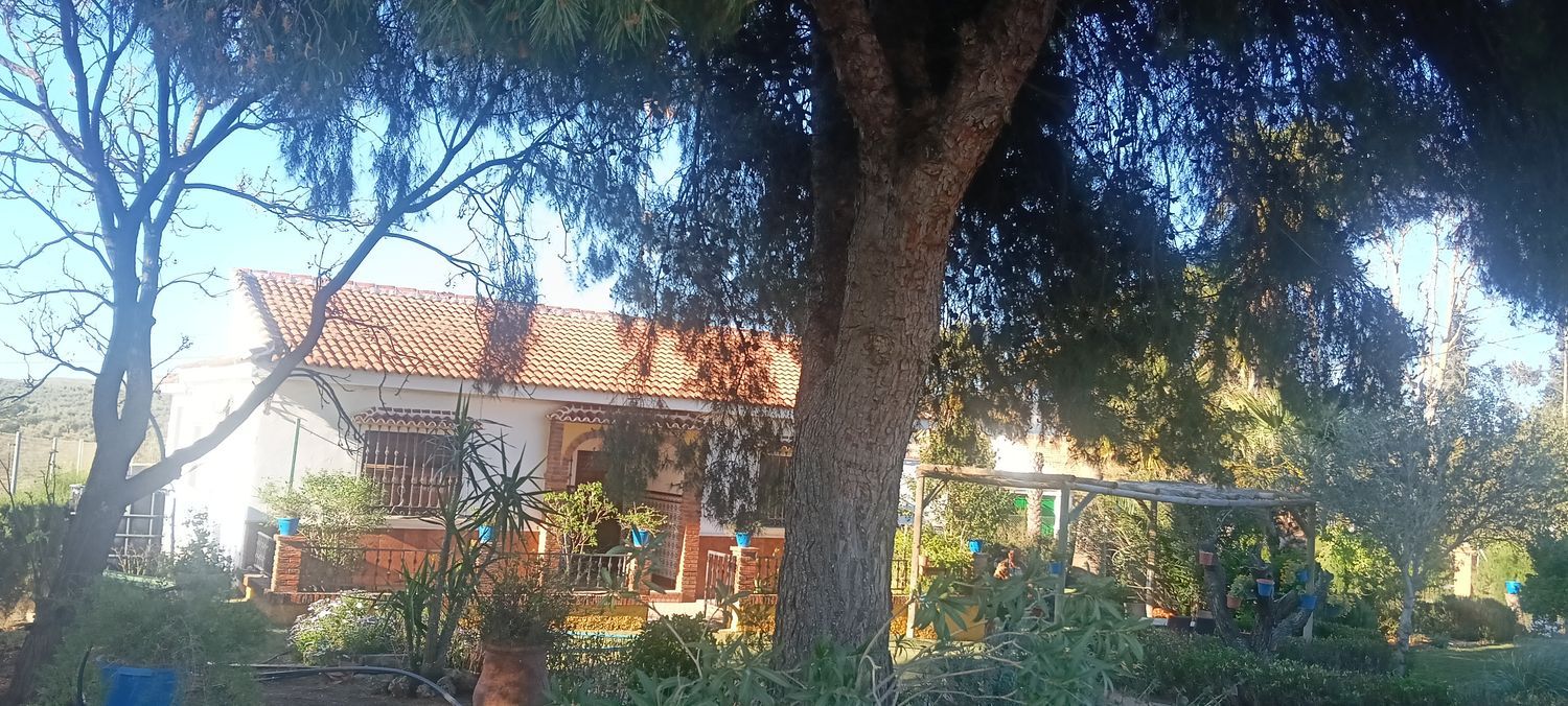 Casa o chalet independiente en Calle Antequera, 1 - Foto 11