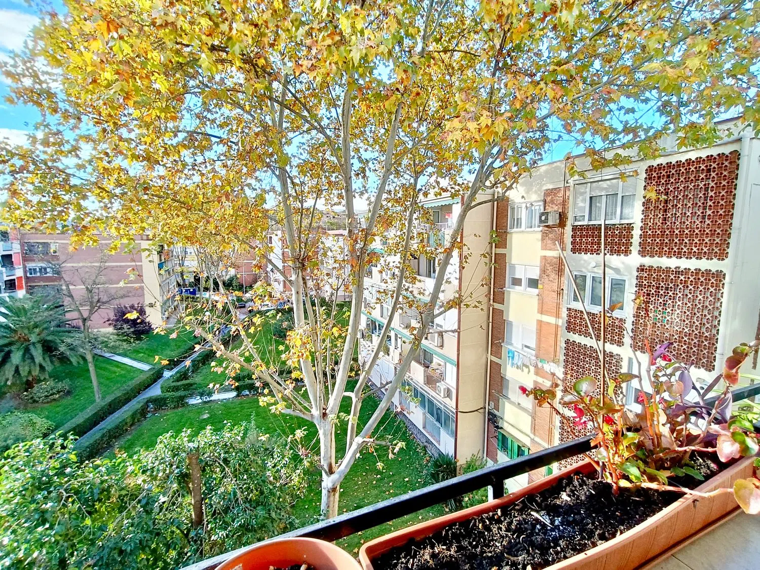 Piso en Colonia Occidente, 9 - Foto 11