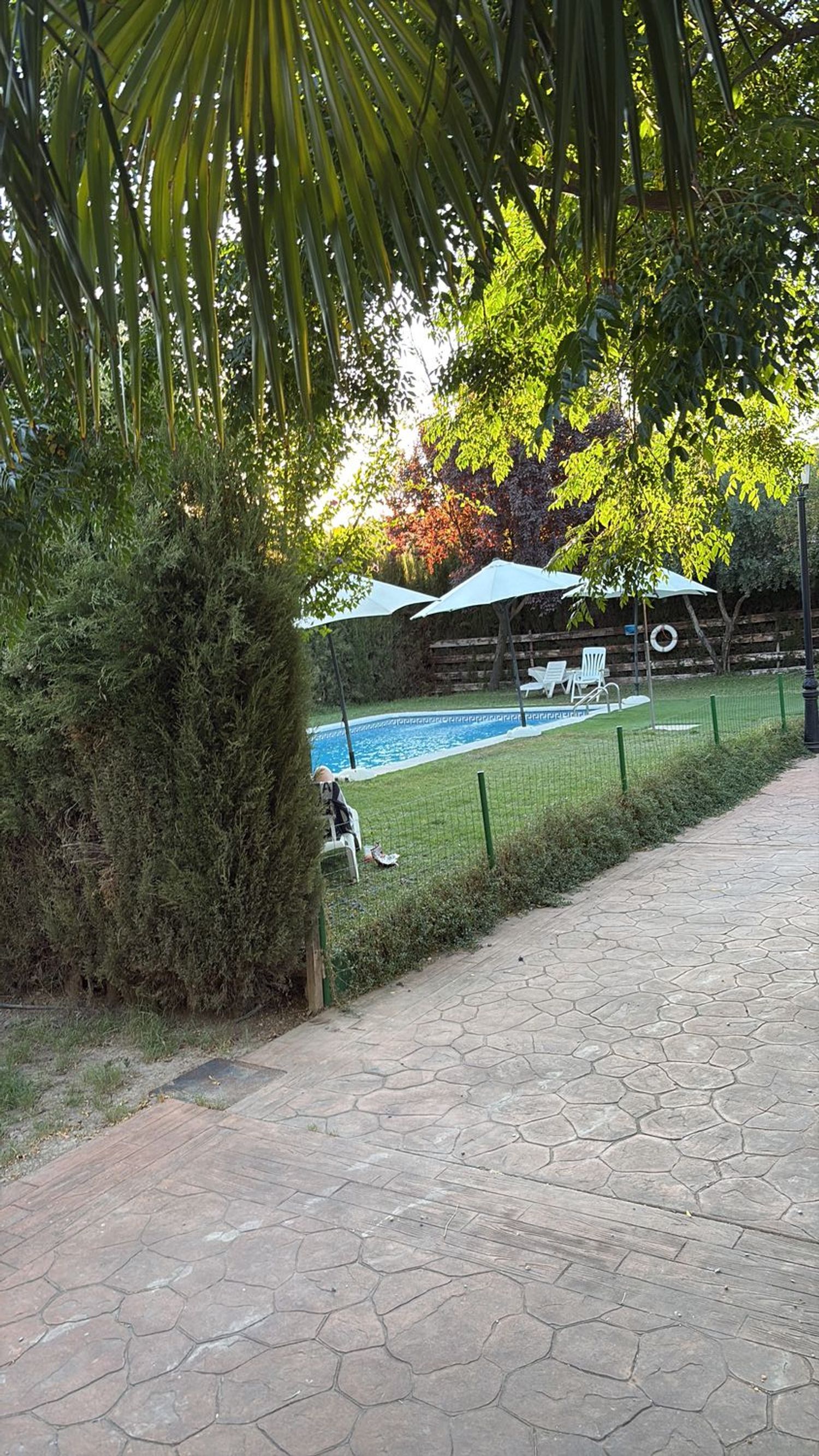 Casa rural en Camino de Albarrate, 216, El Torreón - Cortijo Pretel - Foto 14