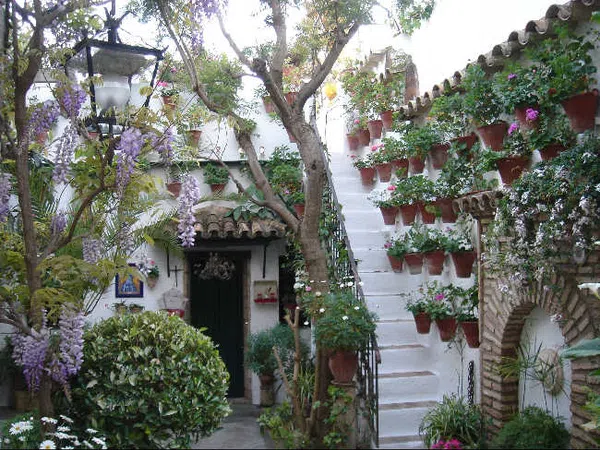 Piso en Casco Histórico - Corredera - Ribera, Casco Histórico - Corredera - Ribera - Foto 14