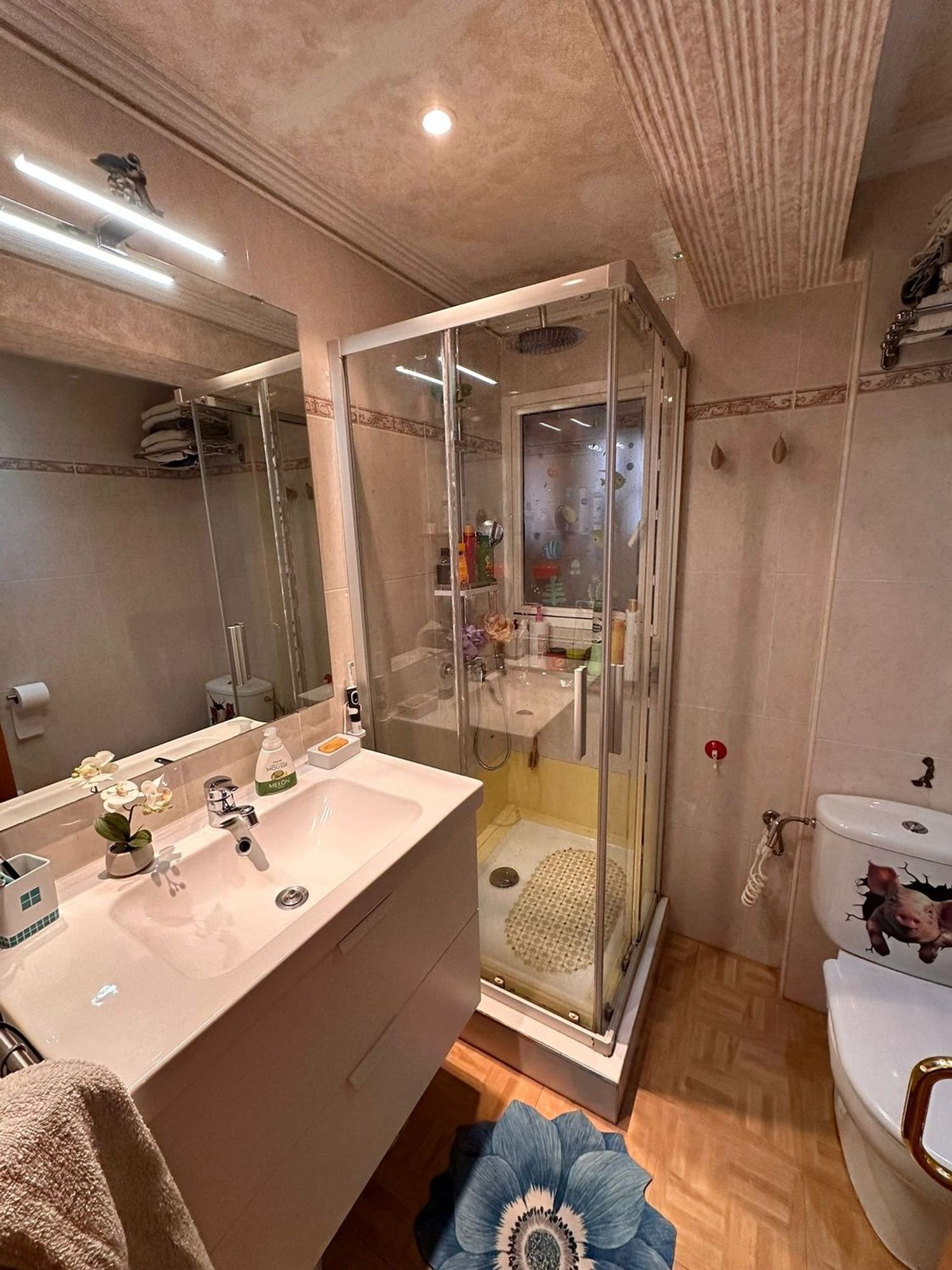 Piso en Alonso Cano, 34, Carolinas Altas - Foto 17