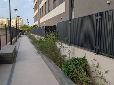 Piso en  Avenida Escultor Antonio Campillo 2 - Foto 11