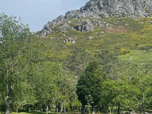 Chalet pareado en camino Sanín, 70 - Foto 36