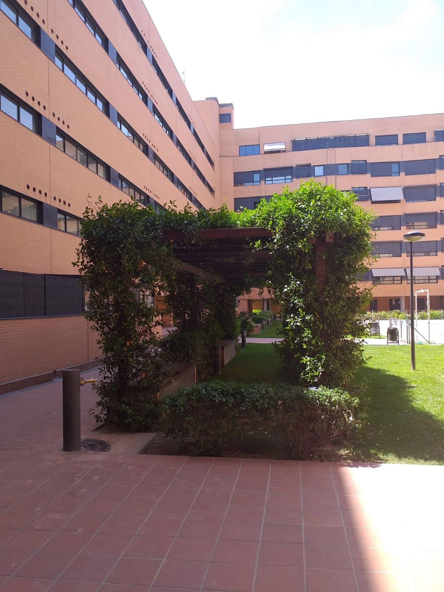 Piso en Calle de la Pirra, 14, Rejas - Foto 16
