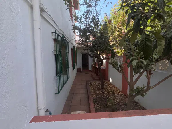 Casa o chalet independiente en Calle Sócrates, 11, Añoreta baja, Añoreta baja - Foto 31