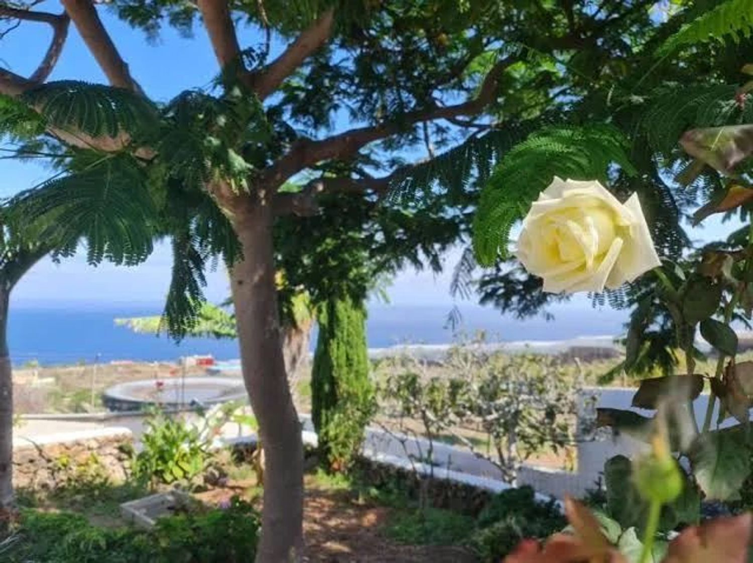 Casa o chalet independiente en Primera Transversal, 40 , b, Tacoronte - Los Naranjeros, Tacoronte - Los Naranjeros - Foto 4