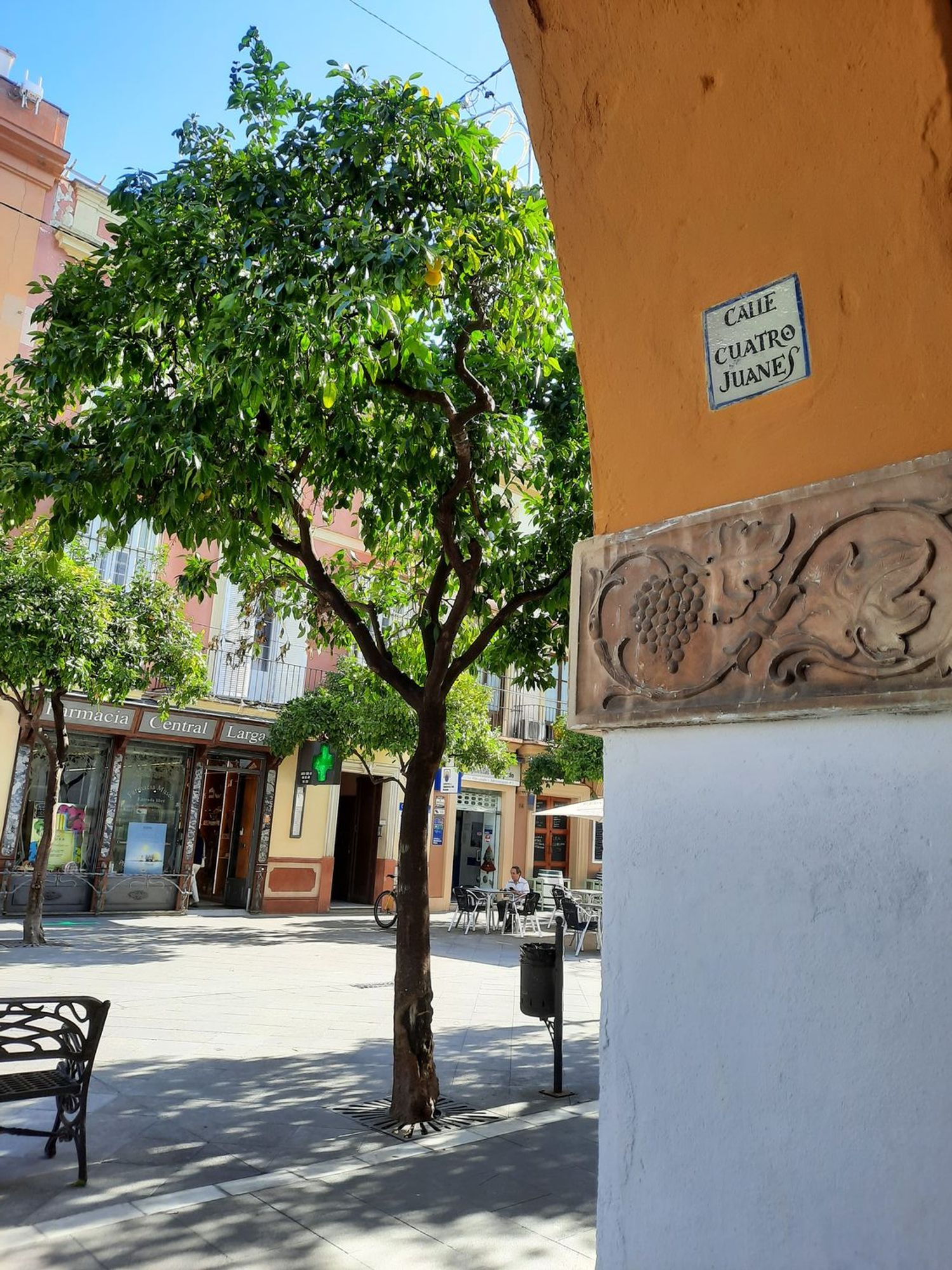 Estudio en Calle Cuatro Juanes, 8 Juderia, Centro - Foto 19