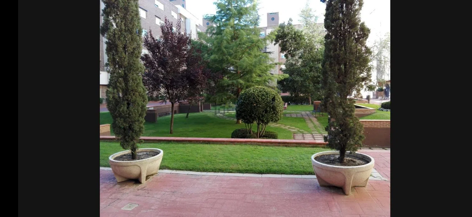 Piso en calle Tren de Arganda, 8 - Foto 30