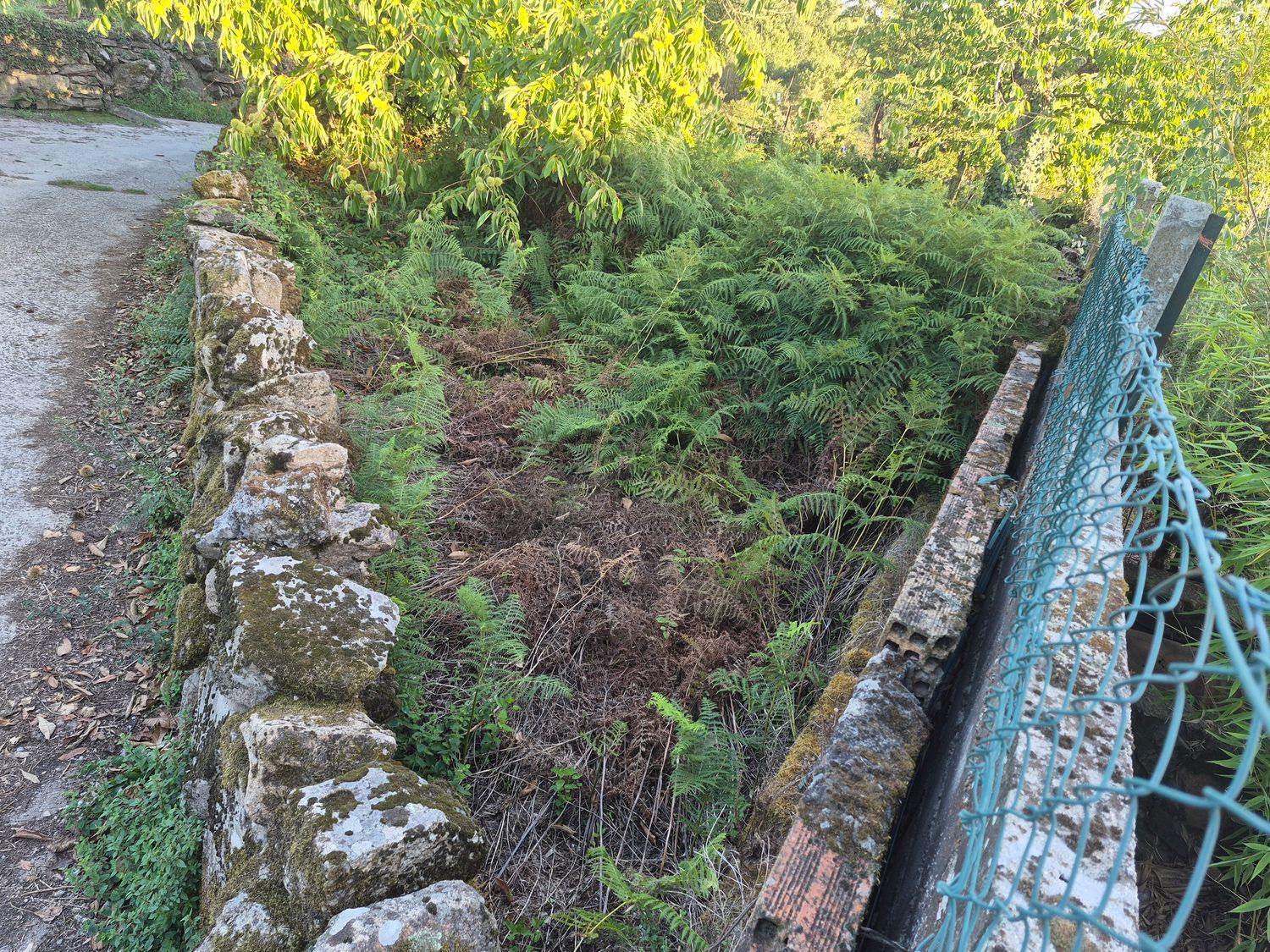 Casa de pueblo en Lugar Figueiredo, 142 - Foto 7