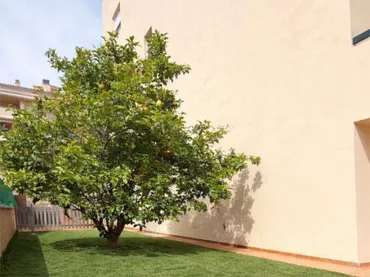 Planta baja en  Calle Cartama 1 - Foto 2