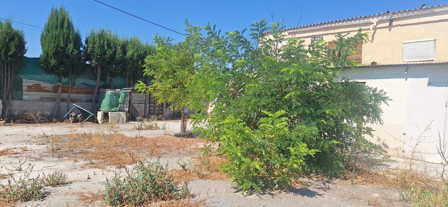 Casa o chalet independiente en Camino polígono 9, parcela, 173, Ronda - Arabial - Foto 4