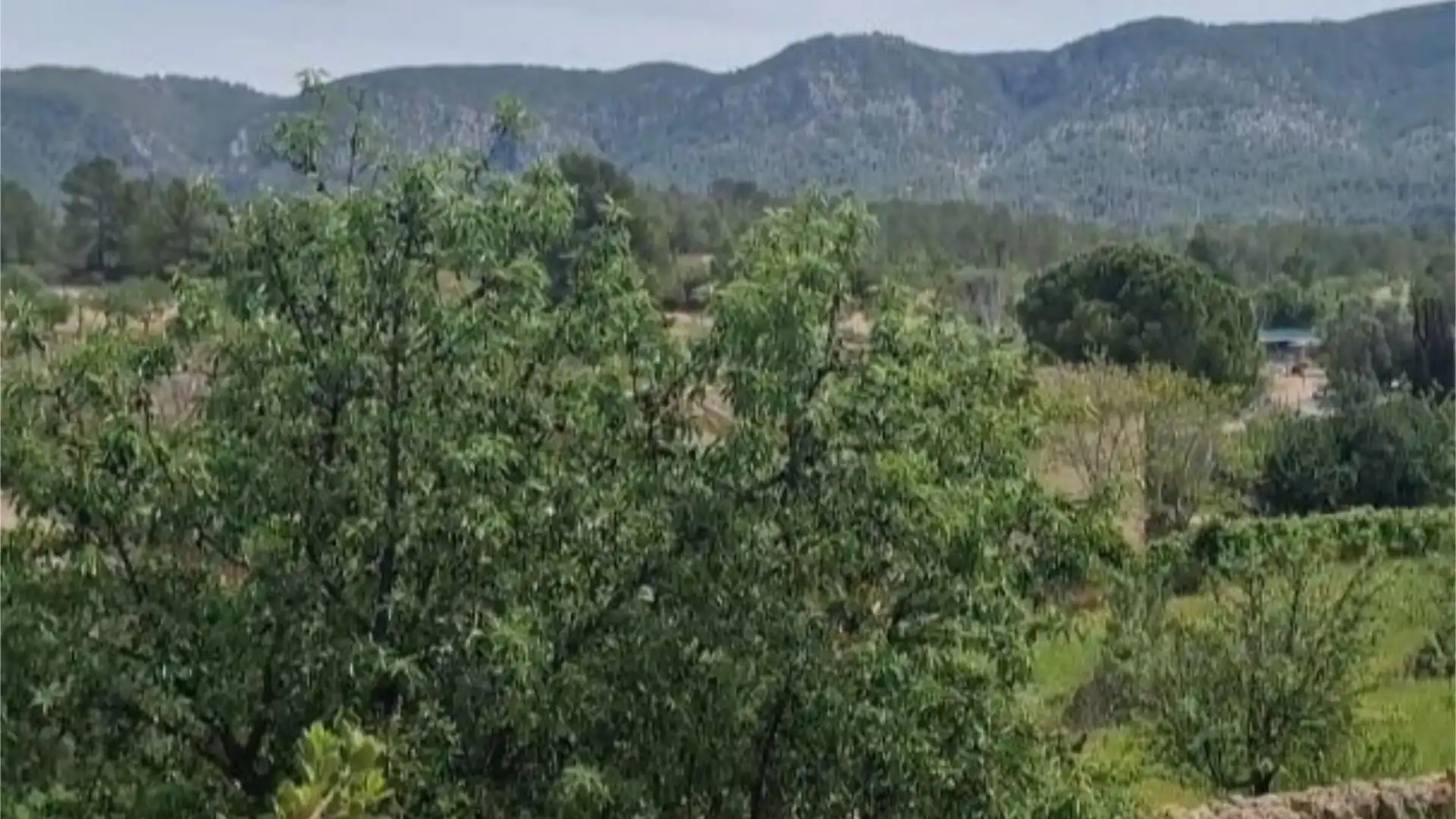 Piso en  Carrer Cortons 22 - Foto 5