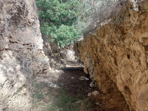 Casa rural en Camino de ses Rotes de sa Canova, 15 - Foto 6