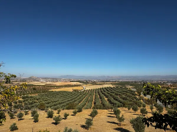 Finca rústica en Arroyo de la Calera 18152 s/n - Foto 15
