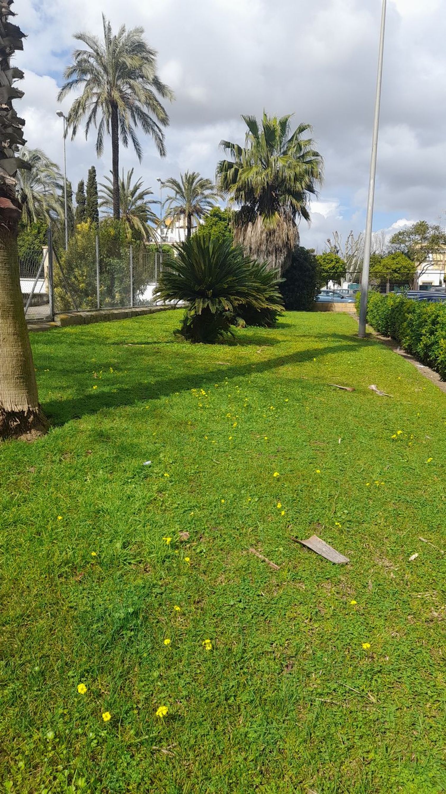 Piso en plaza del Caballo, 1 - Foto 26