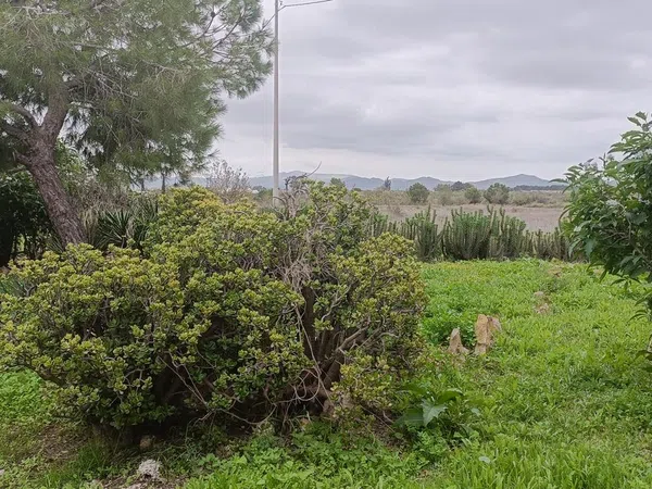 Casa rural en Paraje el aljibe, 87, Cánovas - Cuevas de Reyllo - Foto 16