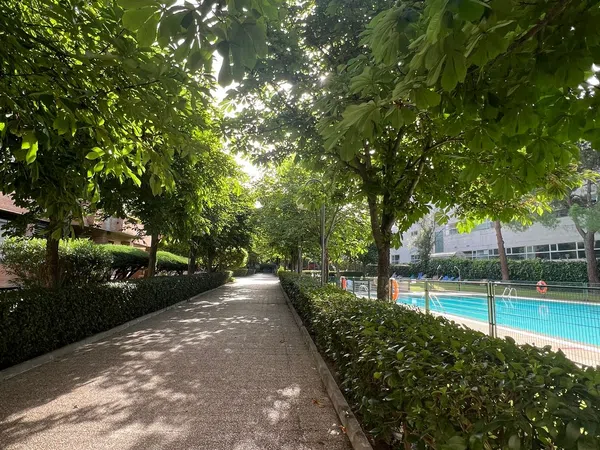 Piso en Via de las Dos Castillas, 7, Zona Avenida Europa - Foto 8