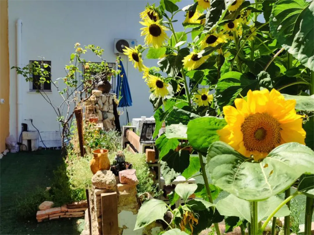 Chalet en  Calle María Nicolasa 9 - Foto 30