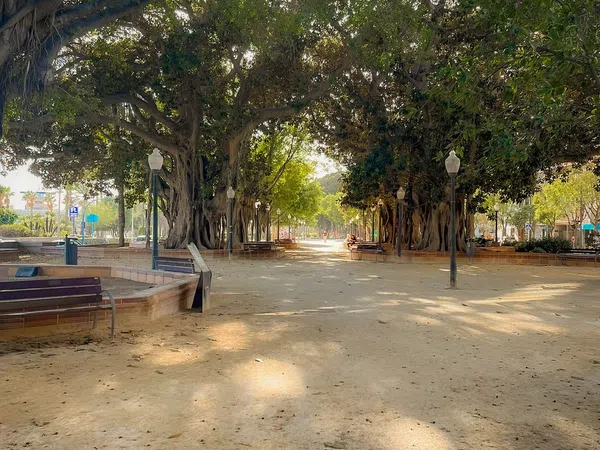 Piso en avenida de Ramón y Cajal, 8 - Foto 14