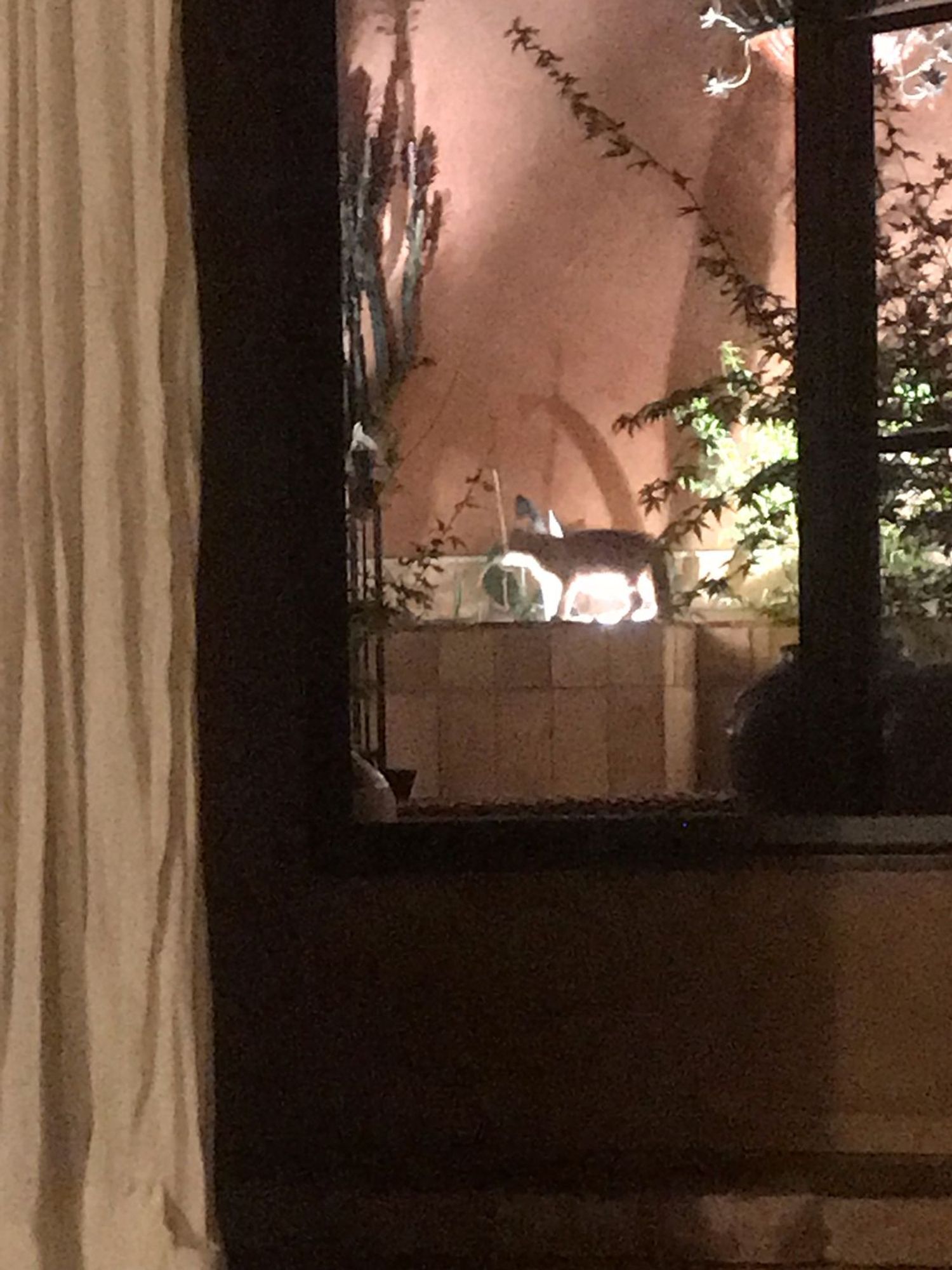 Estudio en calle del Ter, 31 - Foto 14