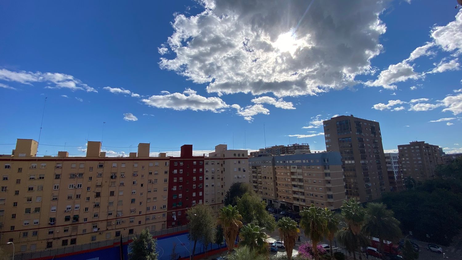 Piso en Musico Gines, 31, Ciutat Jardí - Foto 22