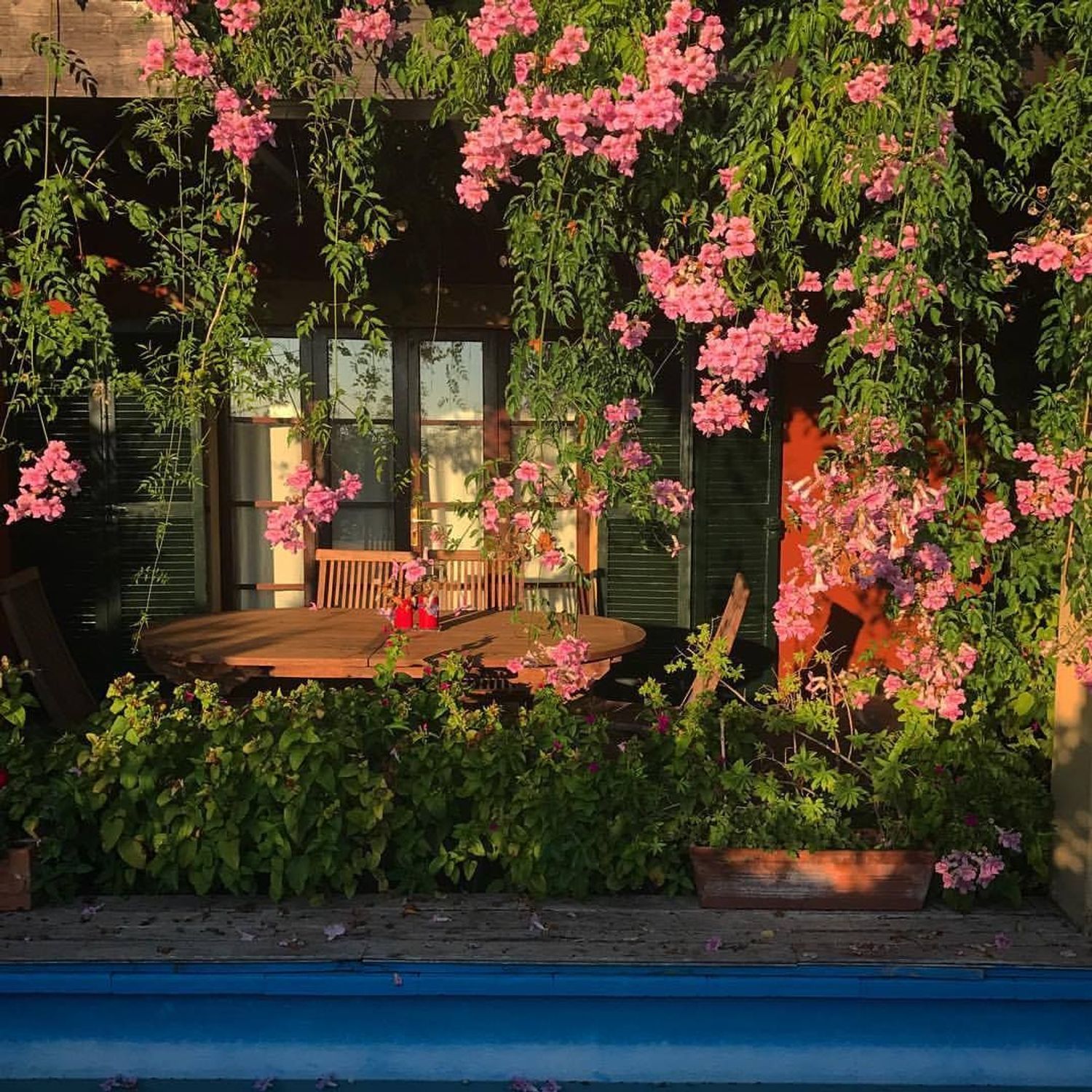 Piso en Urb. bonanova Barrio La Bonanova - Porto Pi - Foto 3