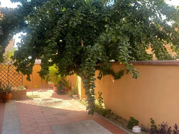 Chalet pareado en Calle Madrid, 20 - Foto 2