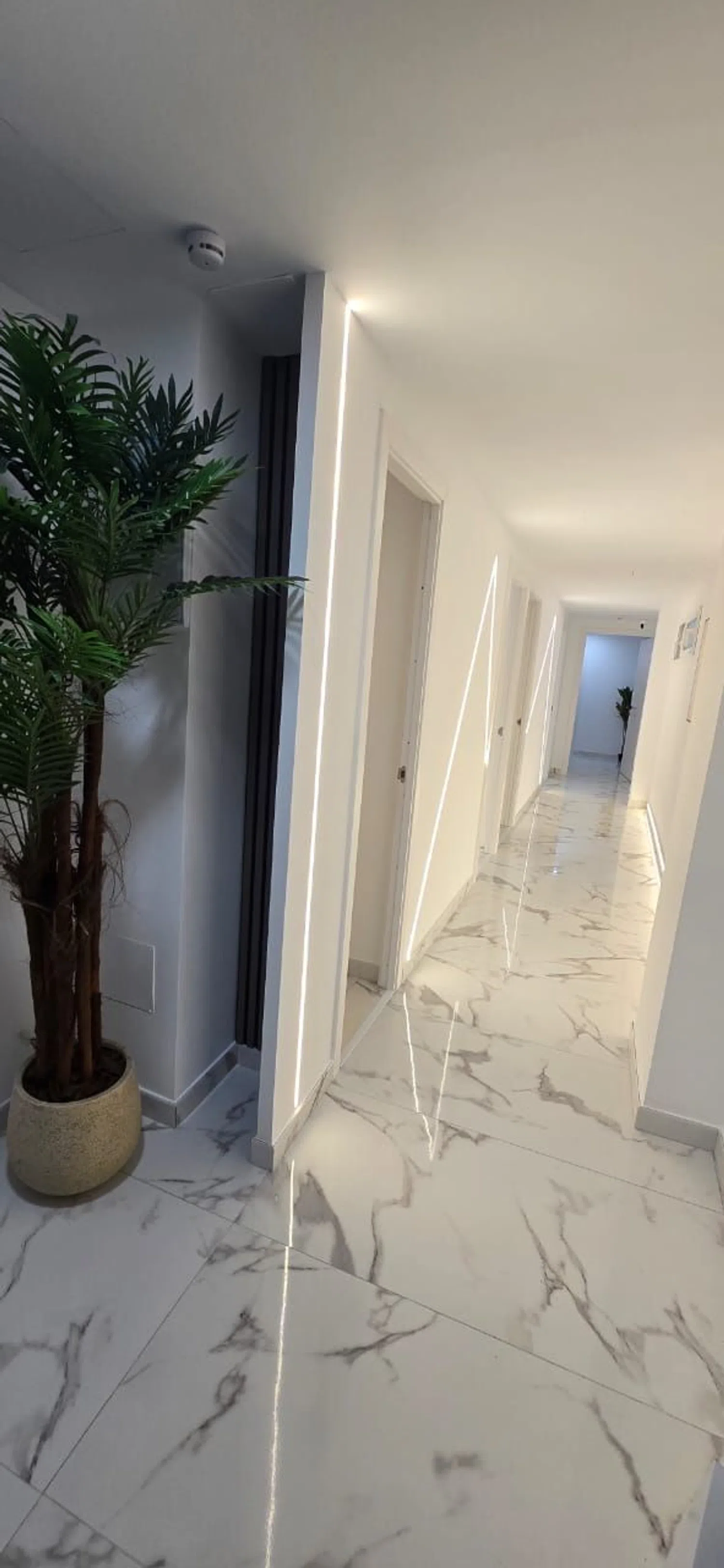 Estudio en avenida de Dénia, 1 - Foto 4