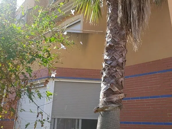 Chalet pareado en Calle Contraparada, 158 - Foto 11