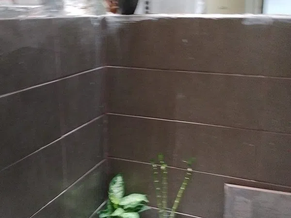 Estudio en calle dels Naranjos, 52 - Foto 9