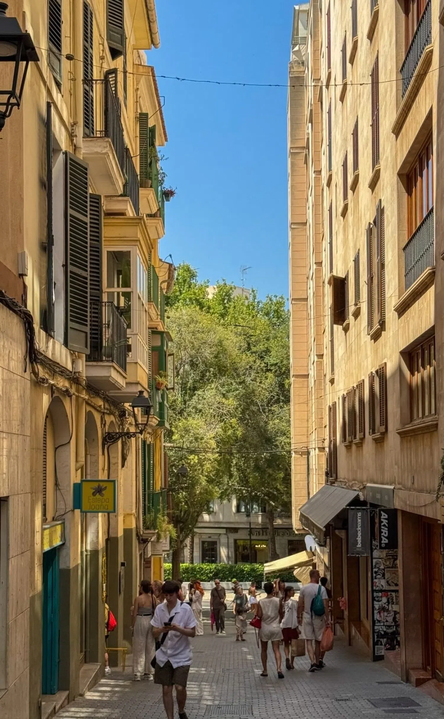 Estudio en calle del Vi, 20 - Foto 21