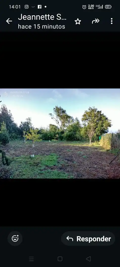 Finca rústica en  Pista La Cancela 97 - Foto 4