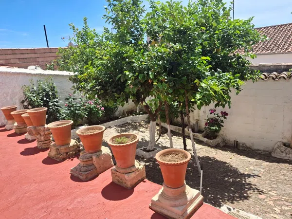 Casa de pueblo en Calle Castelar, 2 - Foto 29